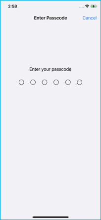 enter your passcode